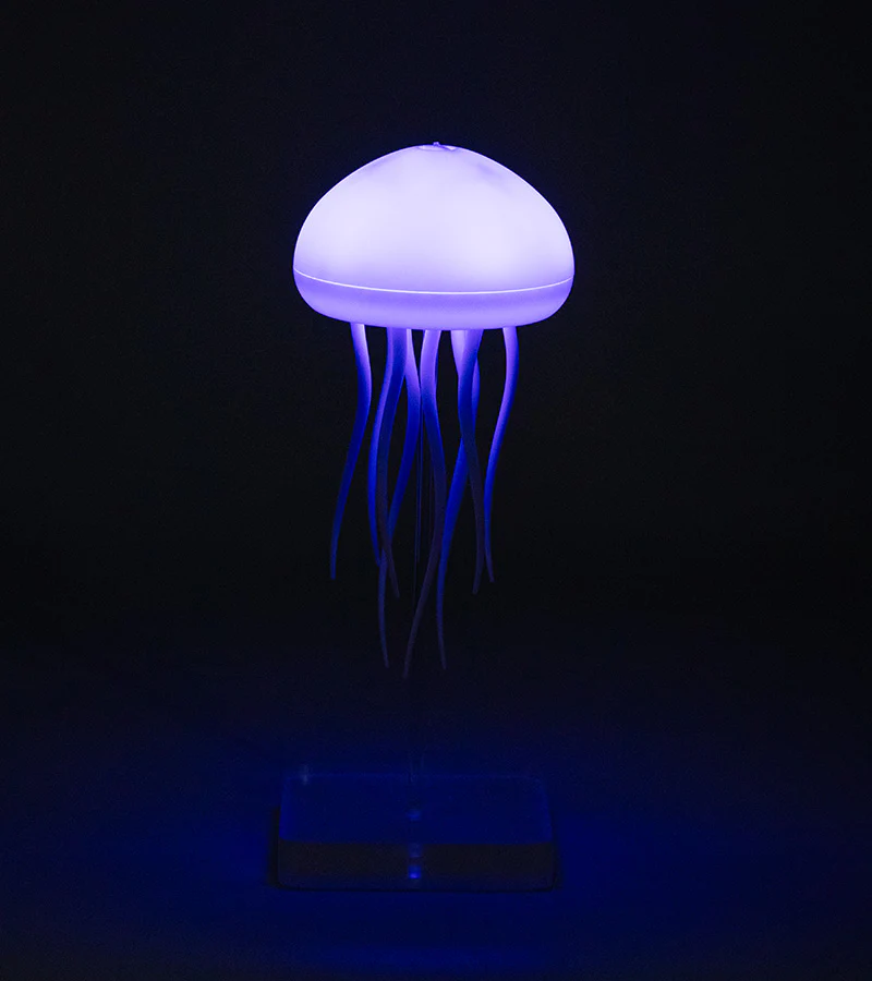 Miniature 6